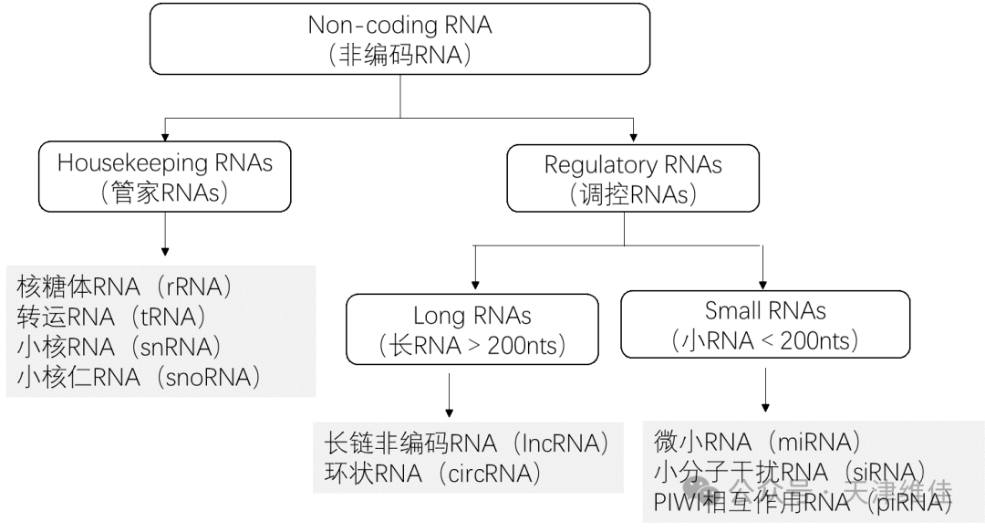rna.png